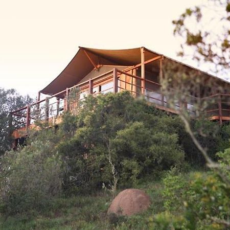 Addo Elephant Lodge & Safaris Kirkwood 外观 照片