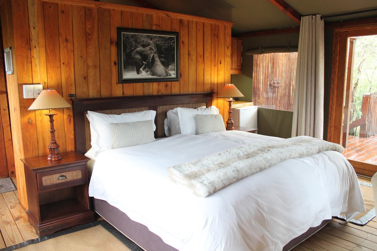 Addo Elephant Lodge & Safaris Kirkwood 外观 照片