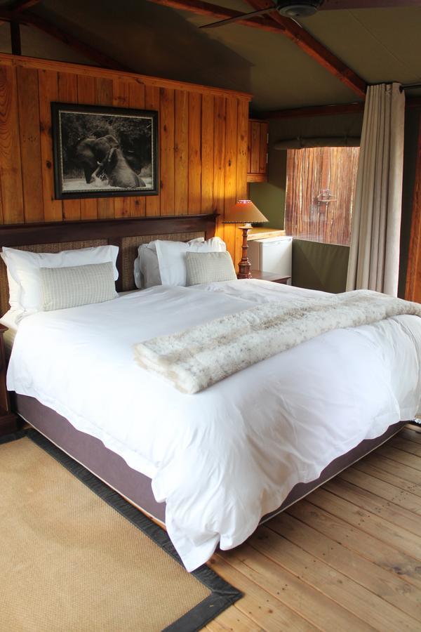 Addo Elephant Lodge & Safaris Kirkwood 客房 照片