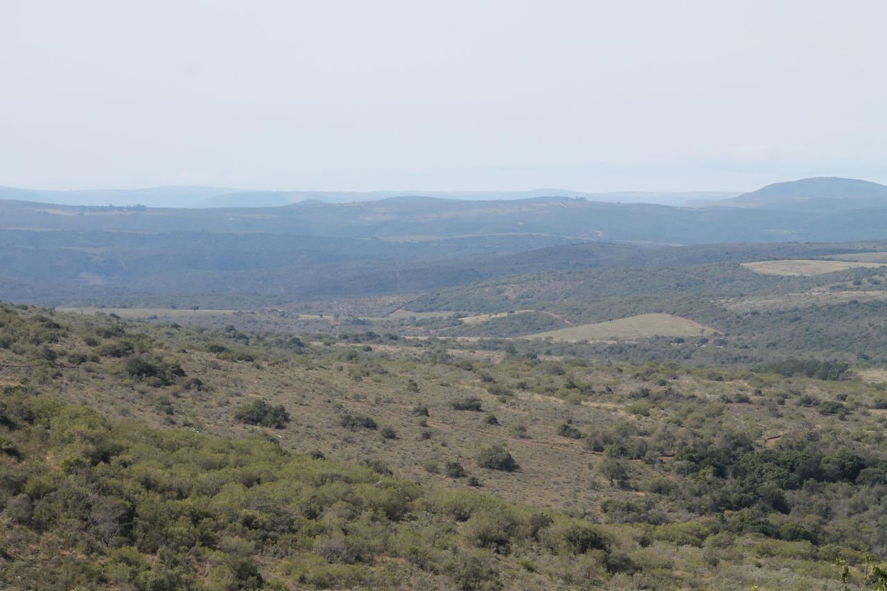 Addo Elephant Lodge & Safaris Kirkwood 外观 照片