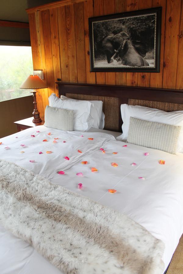 Addo Elephant Lodge & Safaris Kirkwood 外观 照片