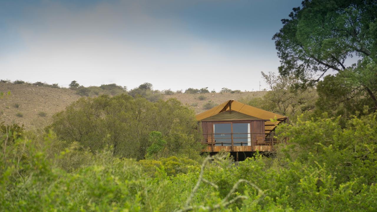Addo Elephant Lodge & Safaris Kirkwood 外观 照片