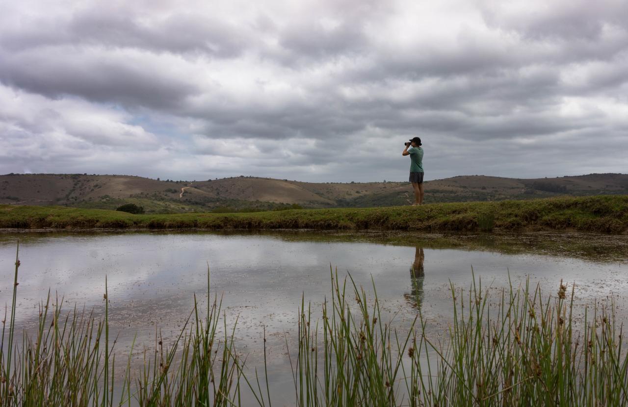 Addo Elephant Lodge & Safaris Kirkwood 外观 照片