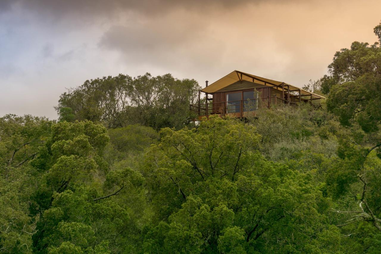 Addo Elephant Lodge & Safaris Kirkwood 外观 照片