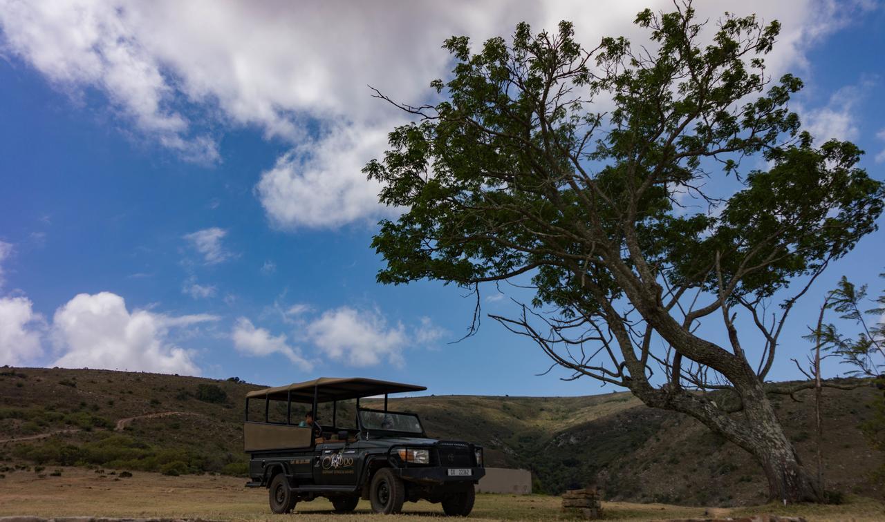 Addo Elephant Lodge & Safaris Kirkwood 外观 照片