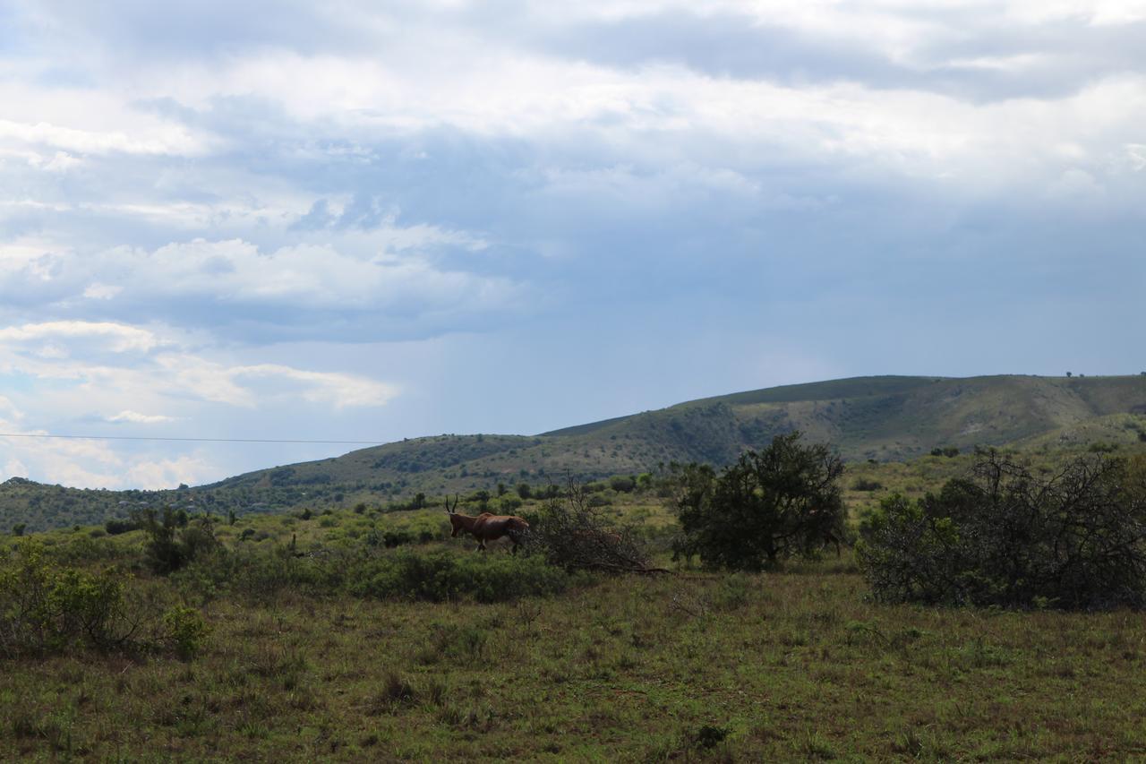 Addo Elephant Lodge & Safaris Kirkwood 外观 照片