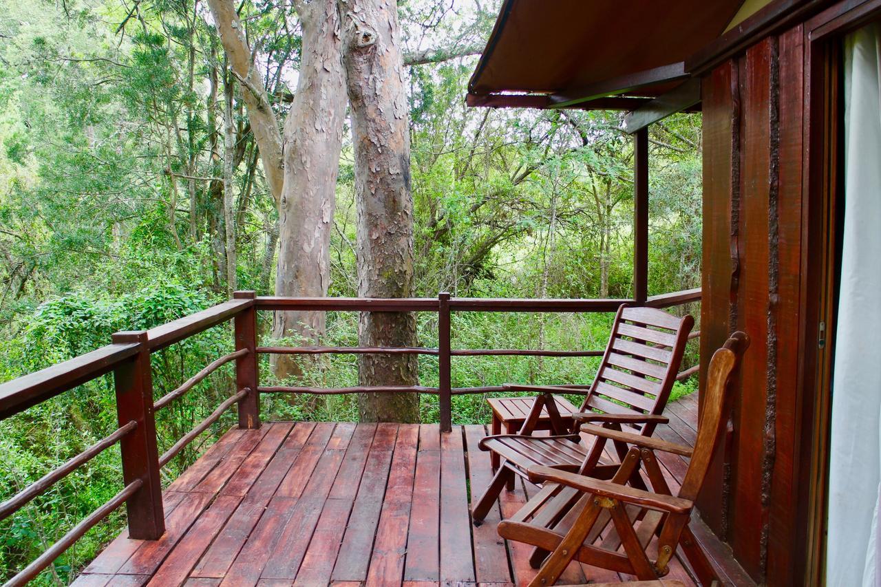 Addo Elephant Lodge & Safaris Kirkwood 外观 照片
