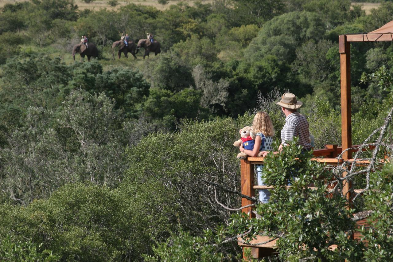 Addo Elephant Lodge & Safaris Kirkwood 外观 照片