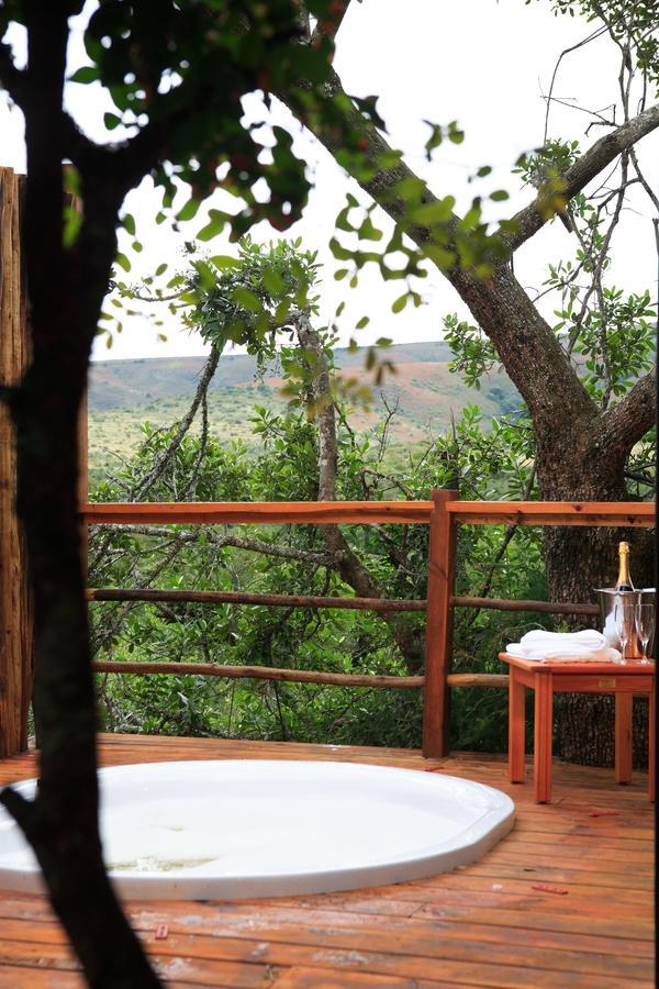 Addo Elephant Lodge & Safaris Kirkwood 外观 照片
